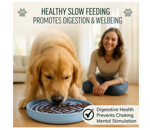 71a35dadedd88269cdc926428a5fa1ff