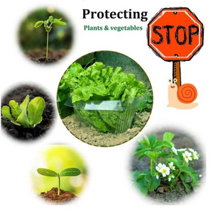 56845377416effe94a150ed7e639b8ef