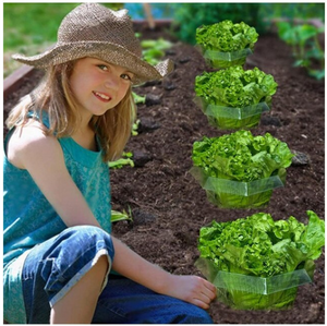 1016534ff798484f4bd165f08355dd49