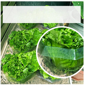 e293840fe8f876362afd5c861ad91f8b