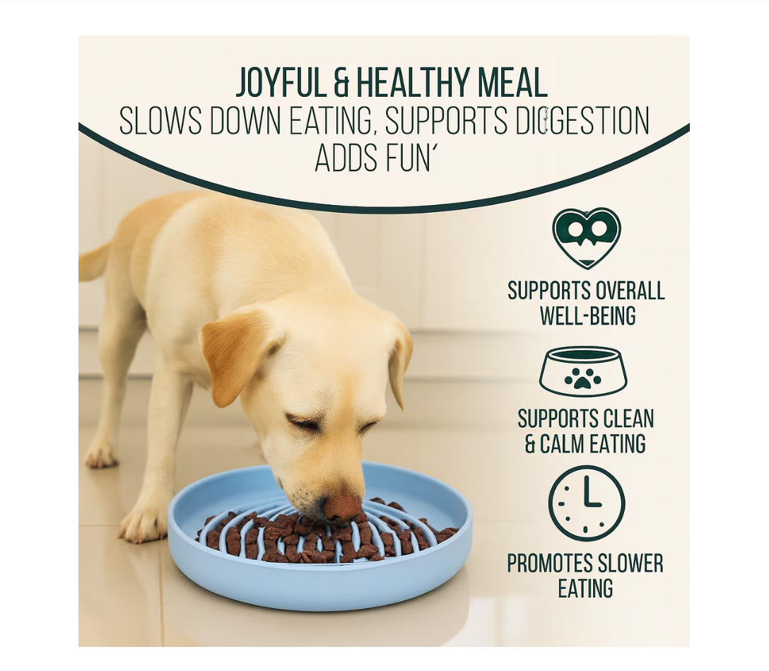 96775f6527a1f6045f28e5fd83477c64