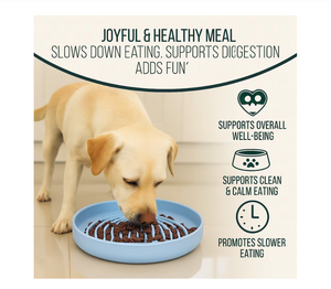 96775f6527a1f6045f28e5fd83477c64