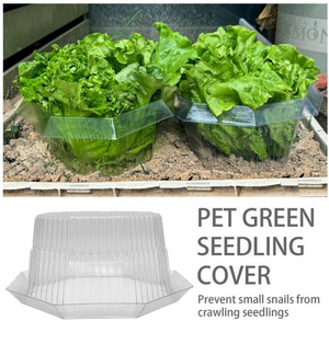 adbfe3864d5a3a29ce724ac2244490b9