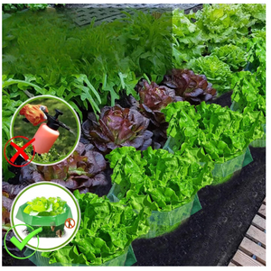 4e55f14640dd28e54f08f506e7b20820