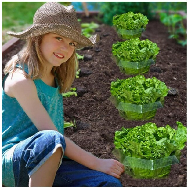 1016534ff798484f4bd165f08355dd49