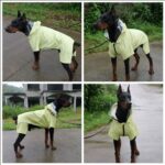 Haina impermeabila pentru caini, L, nylon, interior fleece, benzi reflectorizante, verde deschis - imagine 3